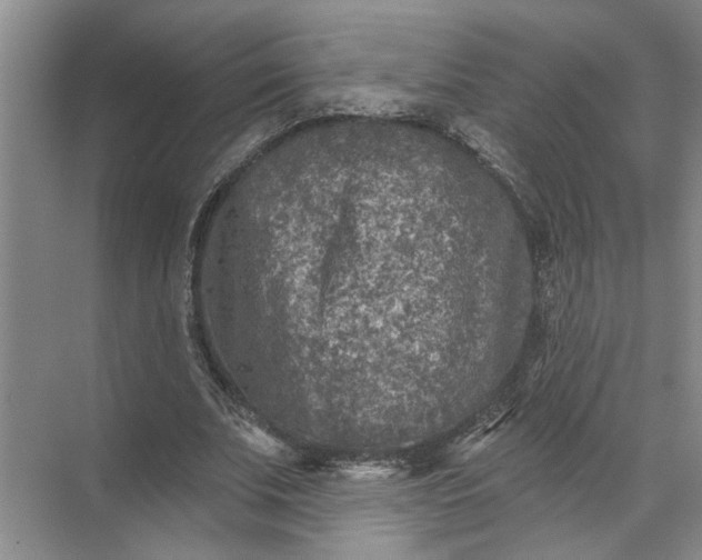 X0000071800679200607150147