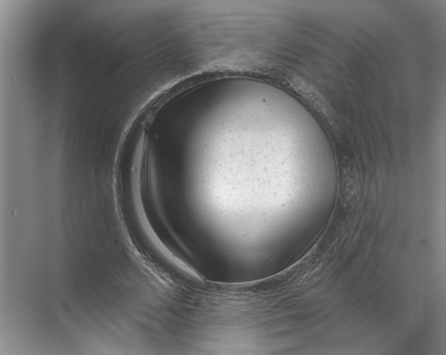 X0000071800680200607150147