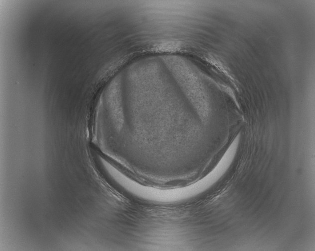 X0000071800681200607150147