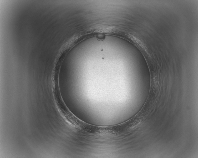 X0000071800682200607150147