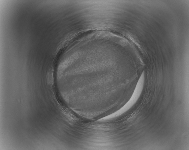 X0000071800685200607150147