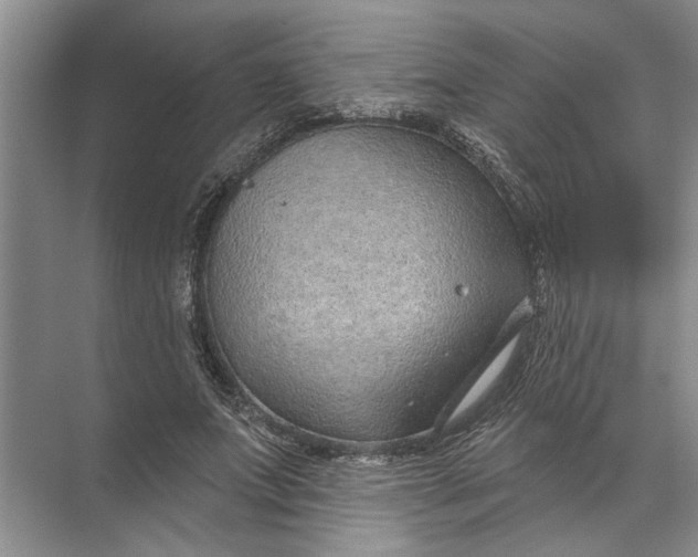 X0000071800687200607150147