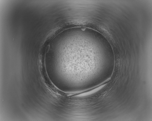 X0000071800688200607150147