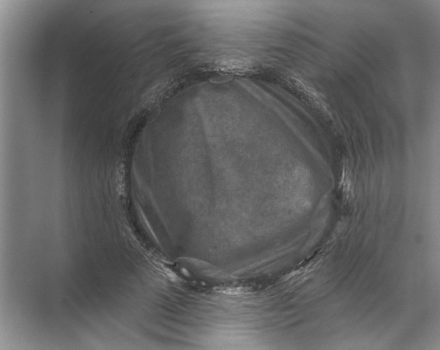 X0000071800689200607150147