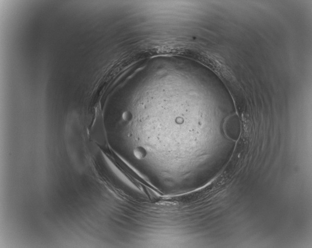 X0000071800691200607150147