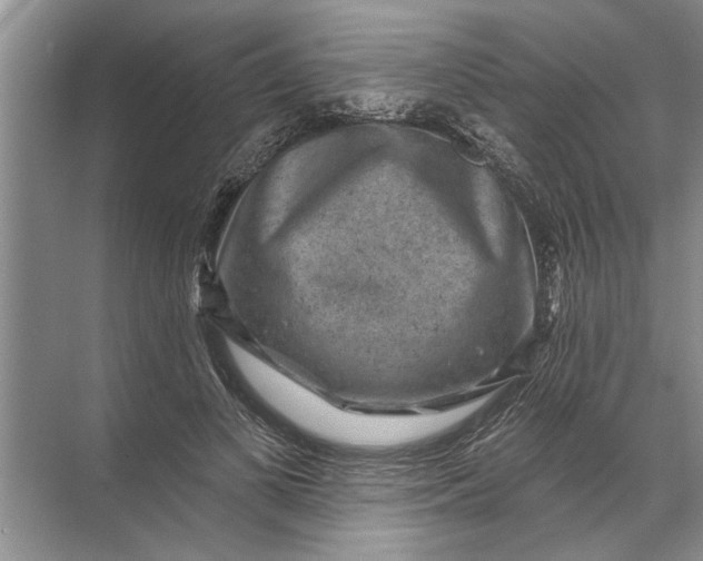 X0000071800693200607150147