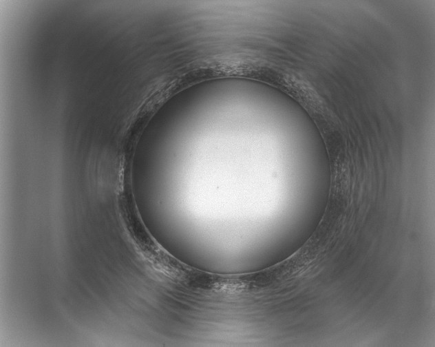 X0000071800694200607150147