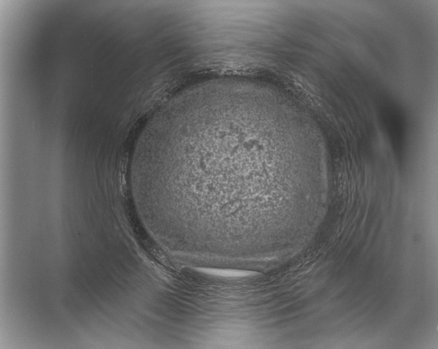 X0000071800695200607150147