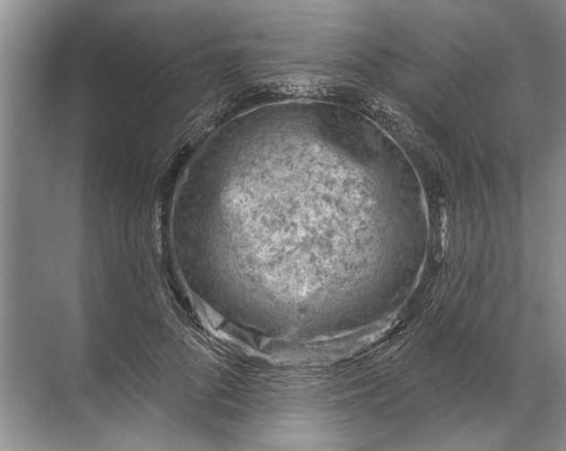 X0000071800696200607150147