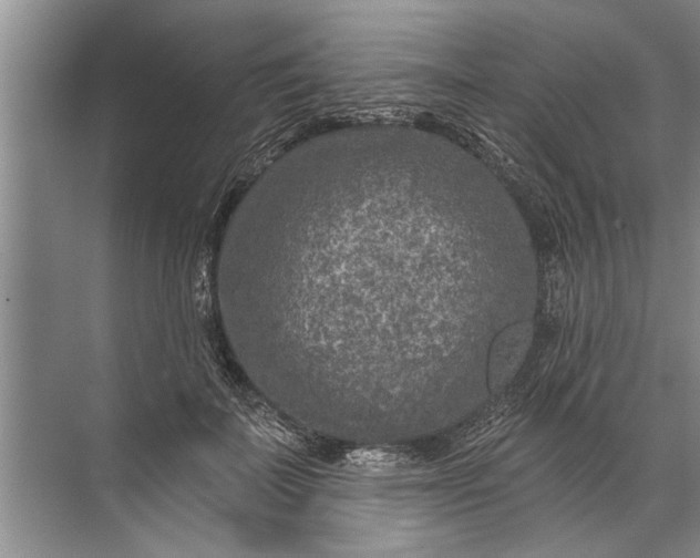 X0000071800699200607150147