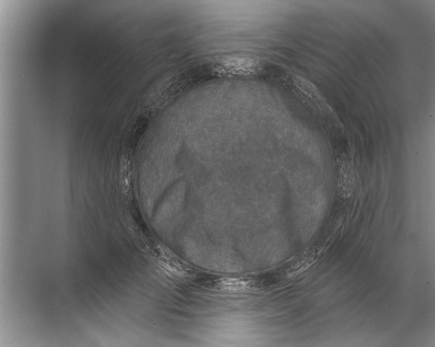 X0000071800701200607150147