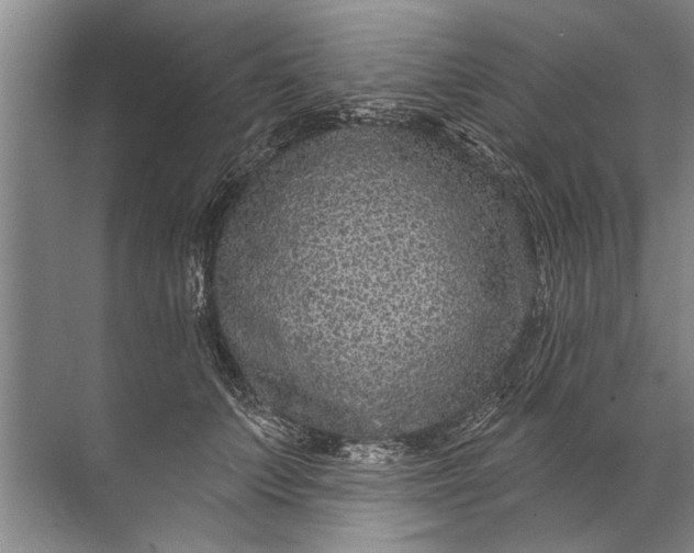 X0000071800703200607150147