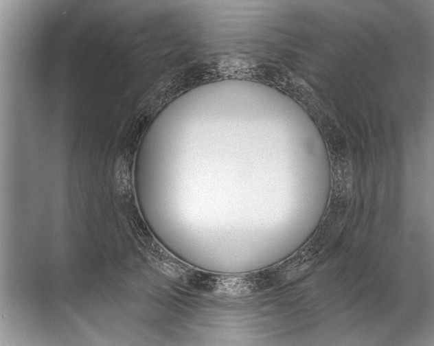 X0000071800705200607150147