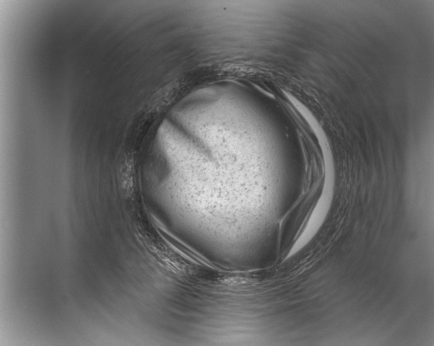 X0000071800708200607150147