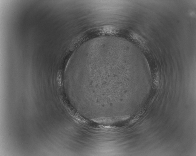 X0000071800715200607150147