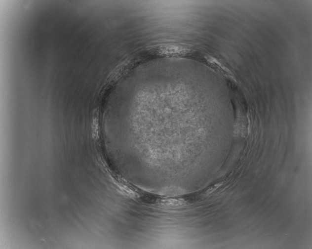 X0000071800716200607150147