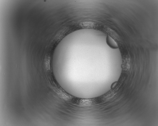 X0000071800717200607150146