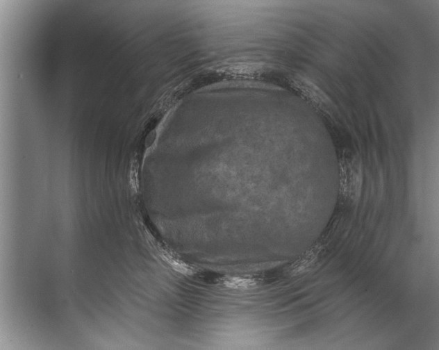 X0000071800718200607150146