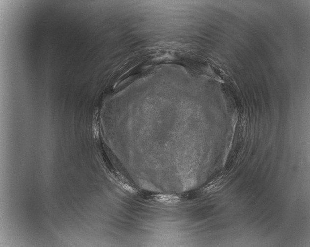 X0000071800719200607150146