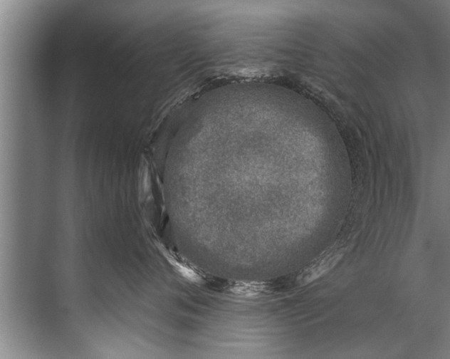 X0000071800720200607150146