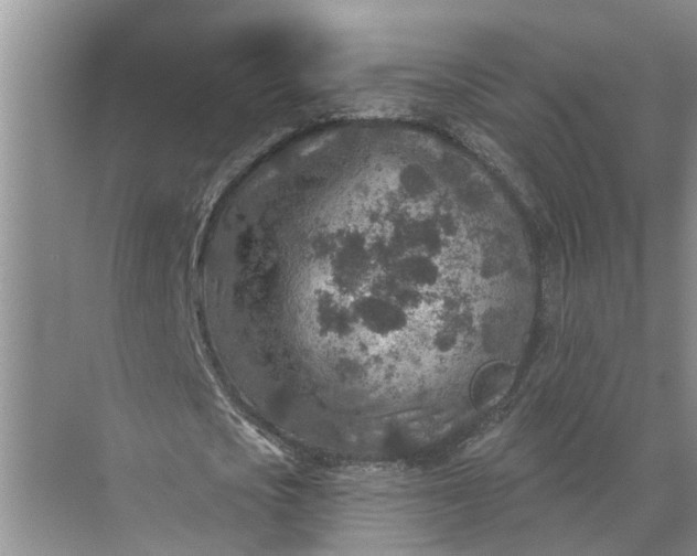 X0000071800721200607150146