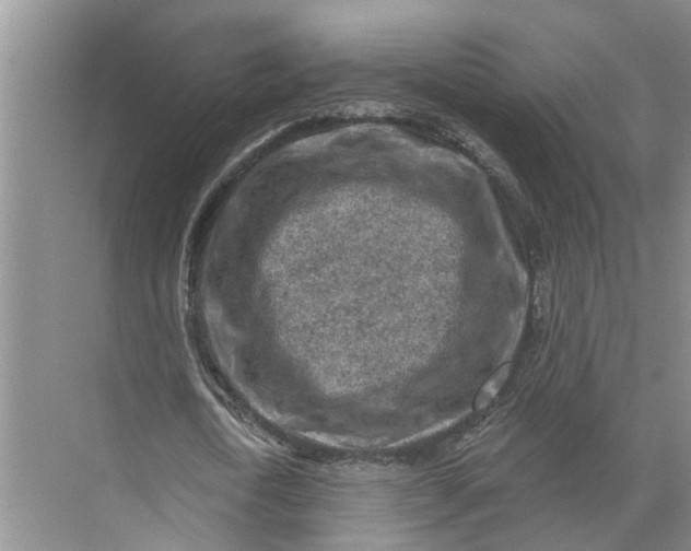 X0000071800722200607150146