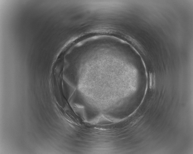 X0000071800723200607150146