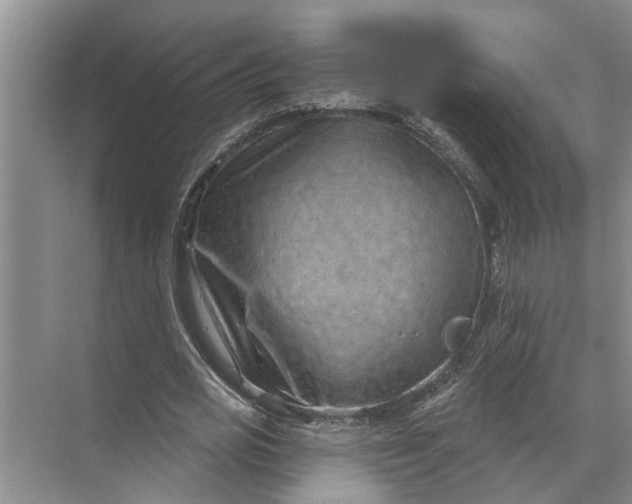 X0000071800725200607150146