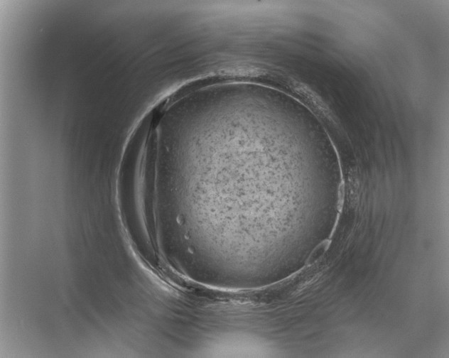 X0000071800726200607150146