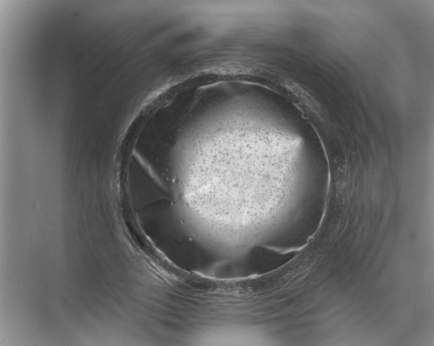 X0000071800727200607150146