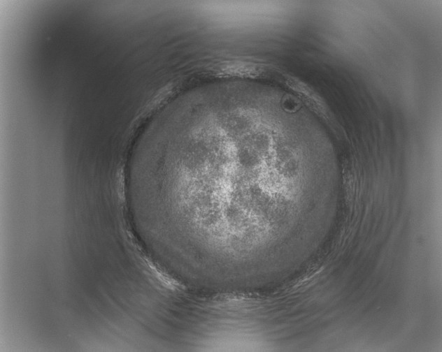 X0000071800729200607150146