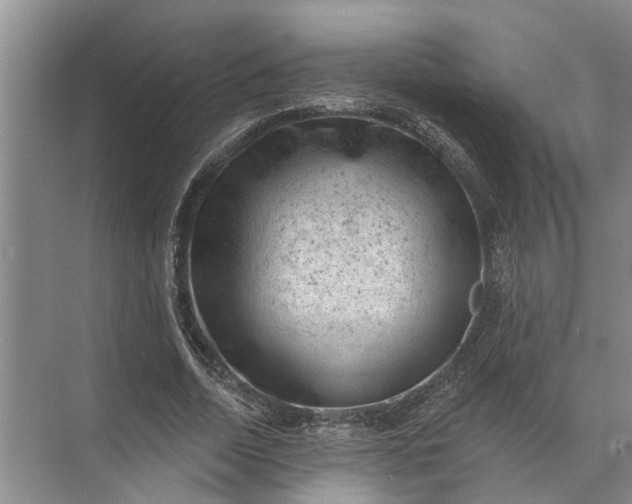 X0000071800730200607150146