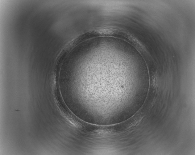 X0000071800733200607150146