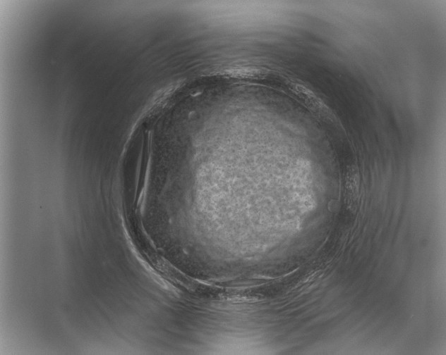 X0000071800734200607150146