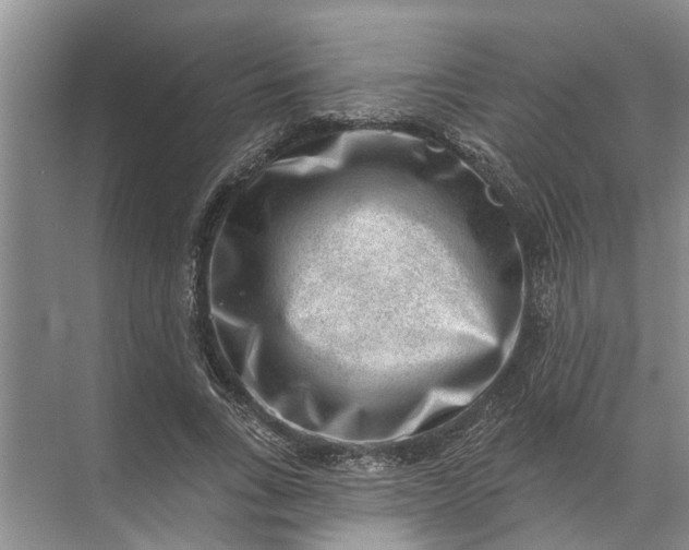 X0000071800735200607150146