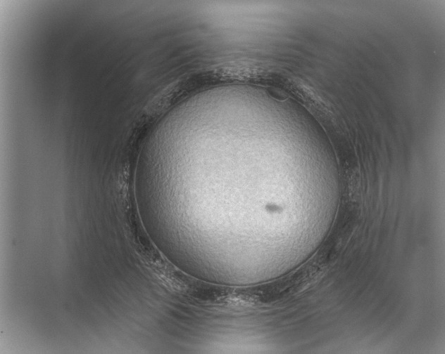 X0000071800737200607150146