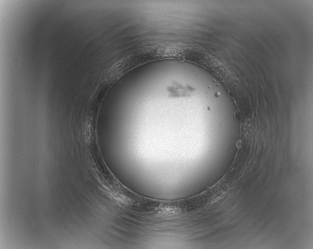 X0000071800741200607150146