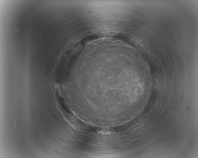 X0000071800742200607150146