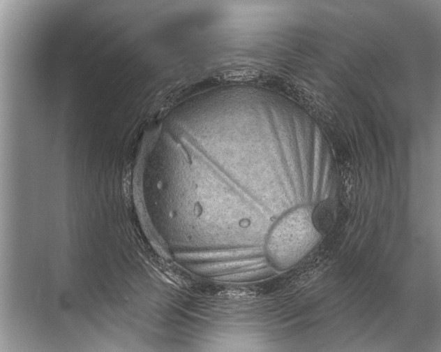 X0000071800745200607150146