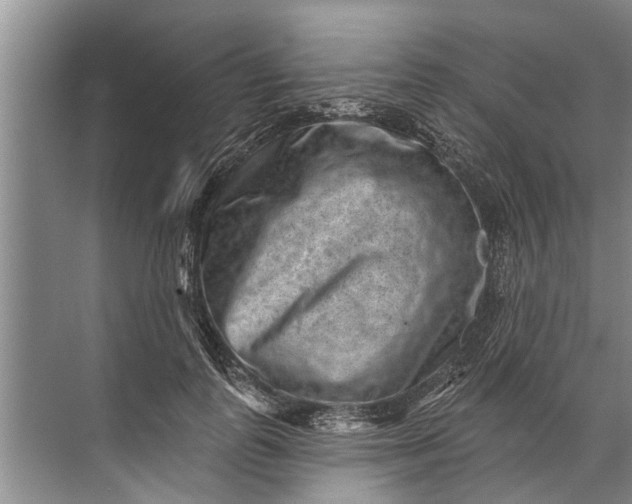 X0000071800747200607150146