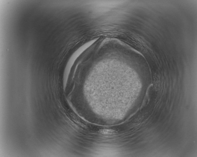 X0000071800748200607150146