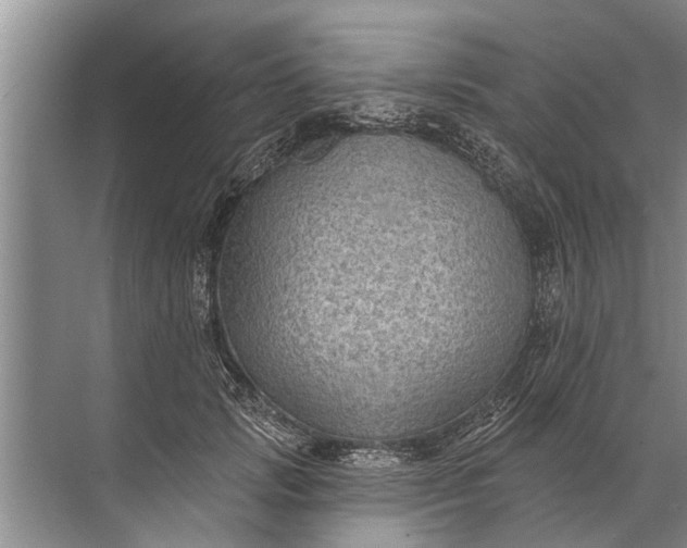 X0000071800749200607150146