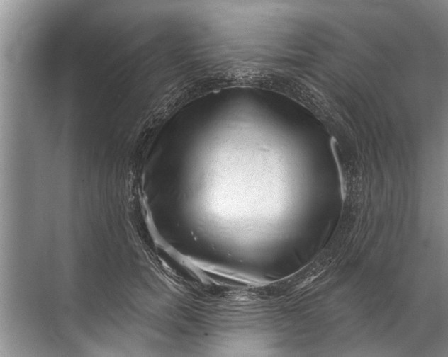 X0000071800750200607150146