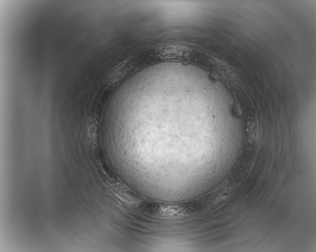 X0000071800753200607150146