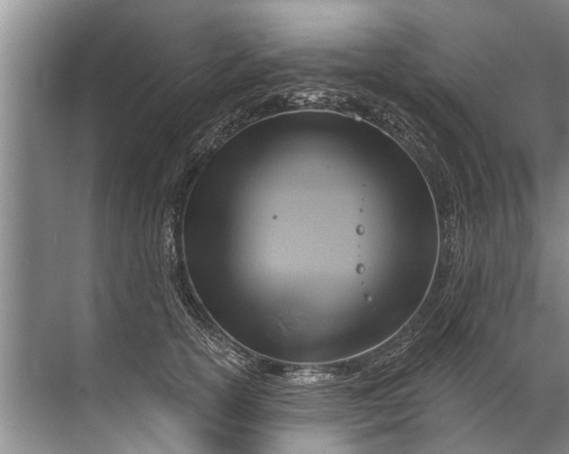 X0000071800754200607150146