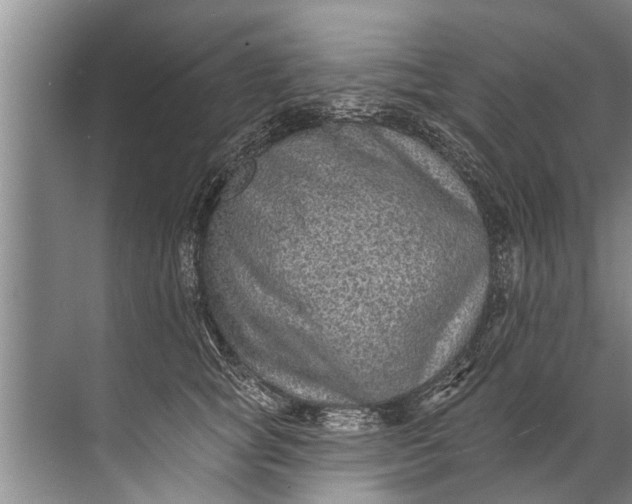 X0000071800757200607150146