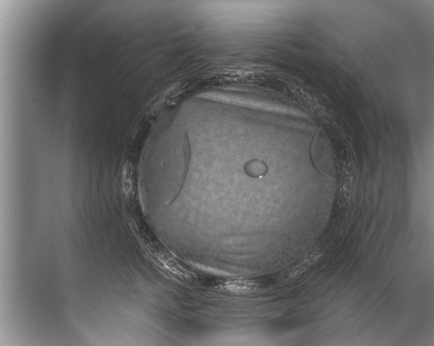 X0000071800758200607150146