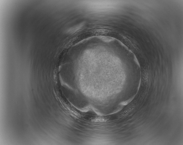 X0000071800759200607150146