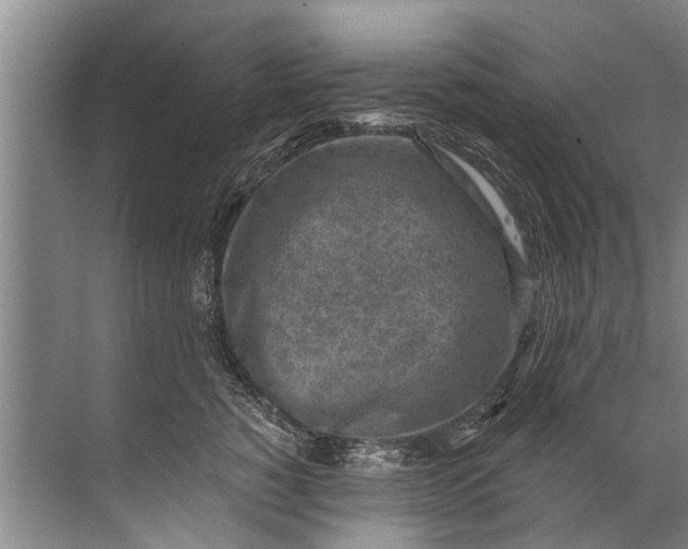 X0000071800760200607150146