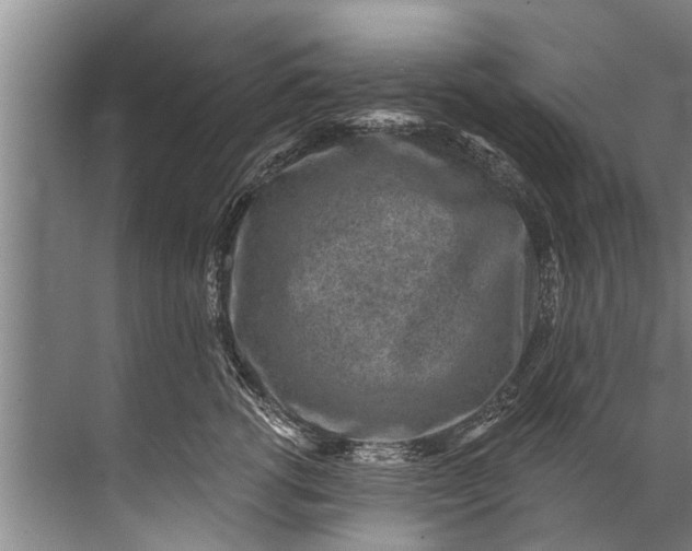 X0000071800762200607150146